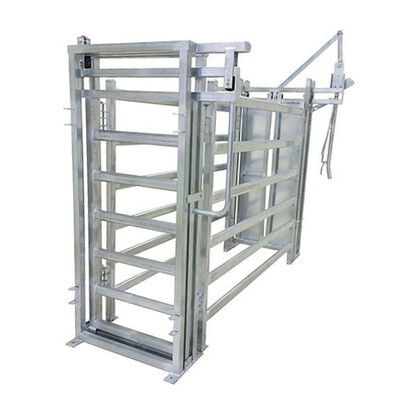 Cattle Crushes strong and livestock handling equipment created to support safe cattle processing and farm productivity
