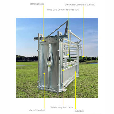 Electric Powered Animal Hoof Crusher Providing Consistent Livestock Hoof Crushing and User Friendly Handling