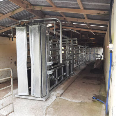 Electric Powered Animal Hoof Crusher Providing Consistent Livestock Hoof Crushing and User Friendly Handling