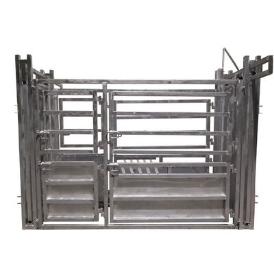 Compact Design Cattle Crushing Machine Allowing Easy Installation and Space Saving in Livestock Processing Environments