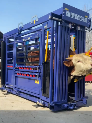 Compact Design Cattle Crushing Machine Allowing Easy Installation and Space Saving in Livestock Processing Environments