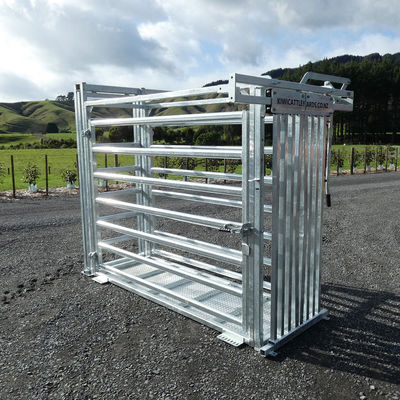 Disesuaikan Galvanized Steel Heave Duty Sapi menghancurkan Easy Assembly