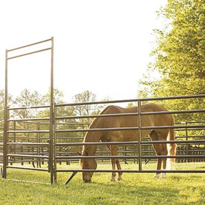 1.4m Height Round Tube Horse Panel Fence For Livestock Farm Stock Panels For Sale