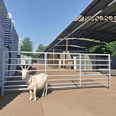 1.2m Panneau de clôture de chèvre soudé Barrière de moutons galvanisée pour élevage de moutons