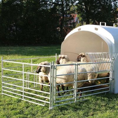 Panneaux de clôture ronde australiens portables et lourds pour les élevages ovins