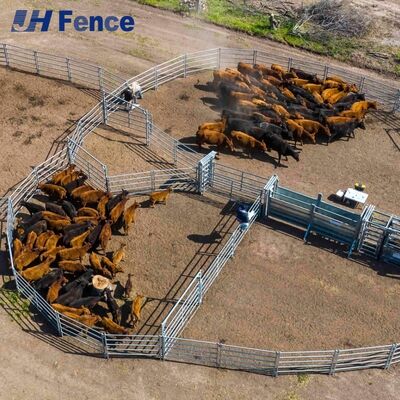 Reliable Ranch Cattle Panel: Trusted Construction for Daily Containing, Sorting, and Managing Valuable Herds