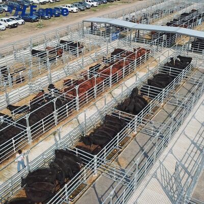 Secure-Hold Cattle Panel: Rigid One-Piece Construction Prevents Bending for Uncompromised Livestock Security
