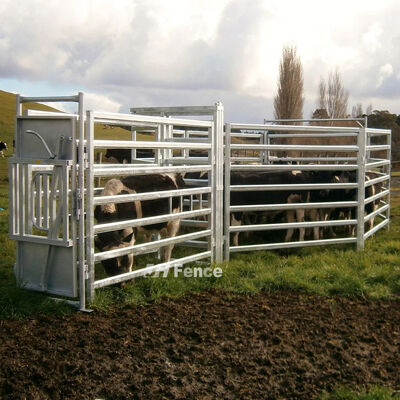 Zgalwanizowany 6ft 7ft Heavy Duty Used Metal Cattle Fence Panel For Livestock Cattle Yard