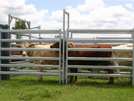 Galvanized Steel Heavy Duty Cattle Fence tahan lama tahan lama Wire Mesh Pagar Ternak untuk pengendalian hewan yang efektif