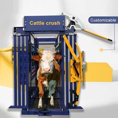 Hydraulic Bovine Crushing Equipment Offering Precise Control and Smooth Operation to Improve Livestock Handling Efficiency